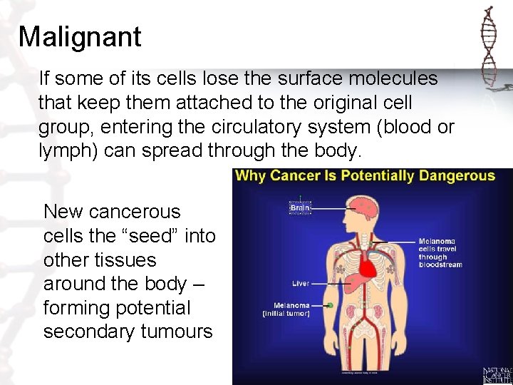Malignant If some of its cells lose the surface molecules that keep them attached