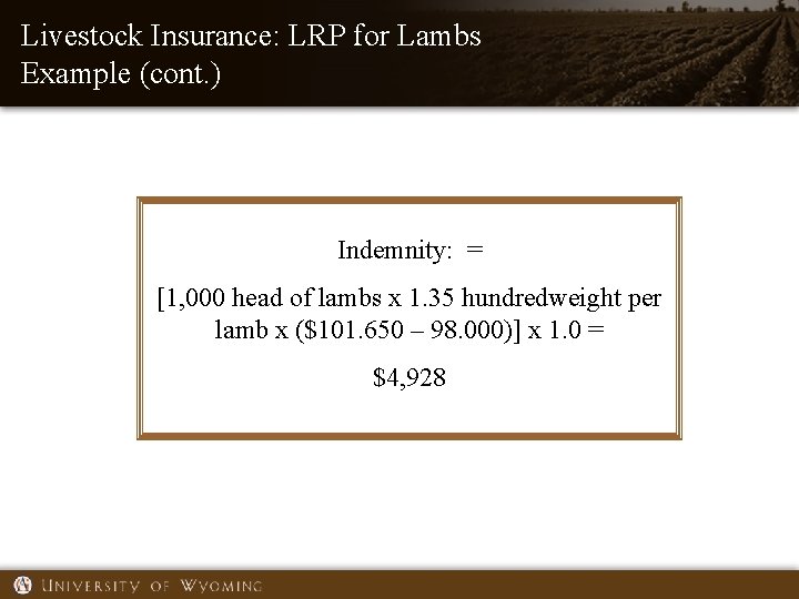 Livestock Insurance: LRP for Lambs Example (cont. ) Indemnity: = [1, 000 head of