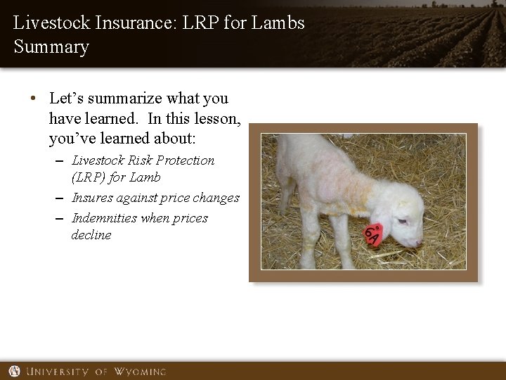 Livestock Insurance: LRP for Lambs Summary • Let’s summarize what you have learned. In Livestock Insurance: LRP for Lambs Summary • Let’s summarize what you have learned. In