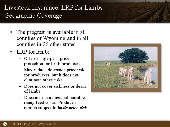 Livestock Insurance: LRP for Lambs Geographic Coverage • The program is available in all Livestock Insurance: LRP for Lambs Geographic Coverage • The program is available in all