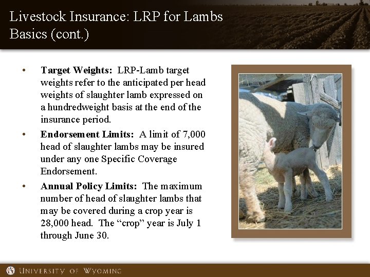 Livestock Insurance: LRP for Lambs Basics (cont. ) • • • Target Weights: LRP-Lamb