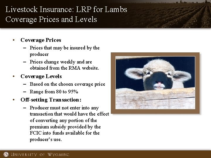 Livestock Insurance: LRP for Lambs Coverage Prices and Levels • Coverage Prices – Prices