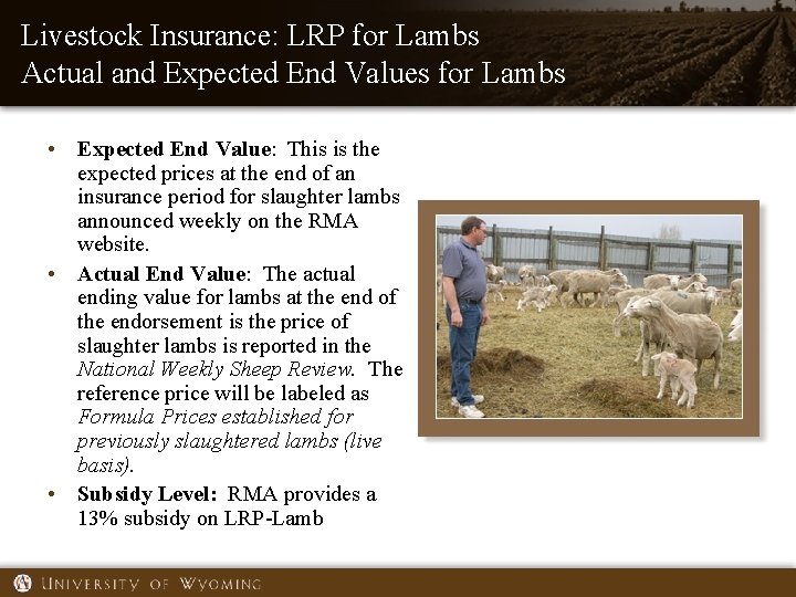 Livestock Insurance: LRP for Lambs Actual and Expected End Values for Lambs • Expected