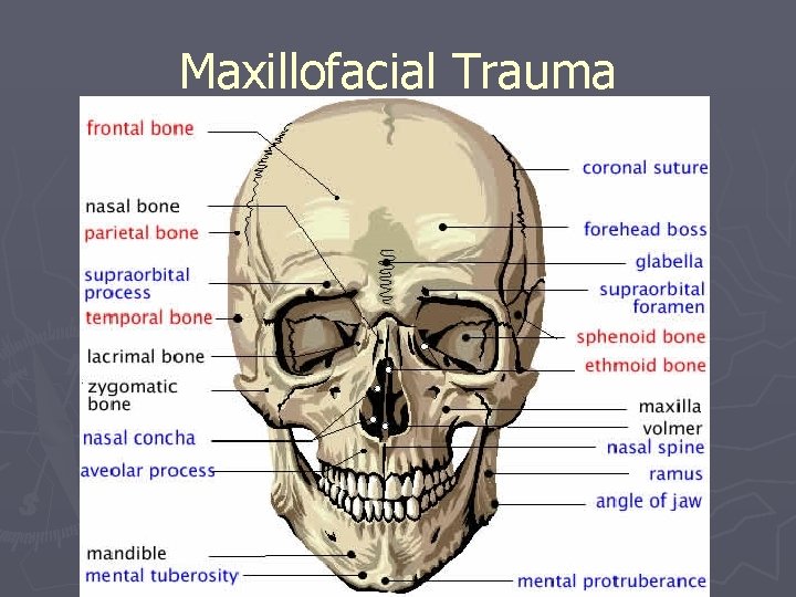Maxillofacial Trauma 