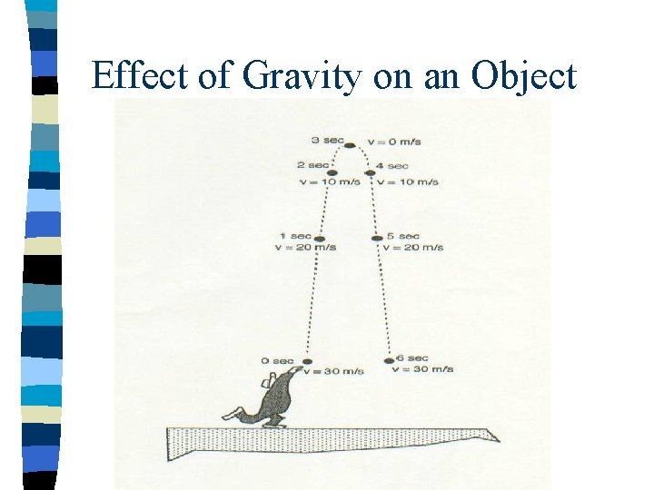 Effect of Gravity on an Object 