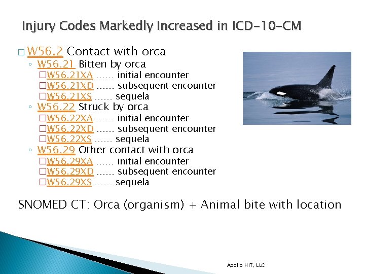 Injury Codes Markedly Increased in ICD-10 -CM � W 56. 2 Contact with orca