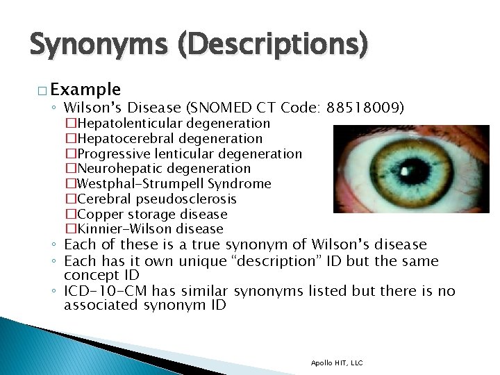 Synonyms (Descriptions) � Example ◦ Wilson’s Disease (SNOMED CT Code: 88518009) �Hepatolenticular degeneration �Hepatocerebral