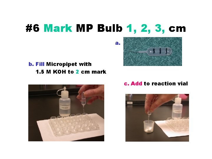 #6 Mark MP Bulb 1, 2, 3, cm a. b. Fill Micropipet with 1.