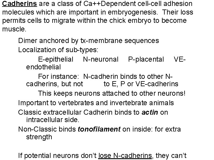 Cadherins are a class of Ca++Dependent cell-cell adhesion molecules which are important in embryogenesis.