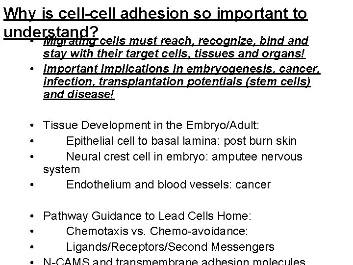 Why is cell-cell adhesion so important to understand? • Migrating cells must reach, recognize,