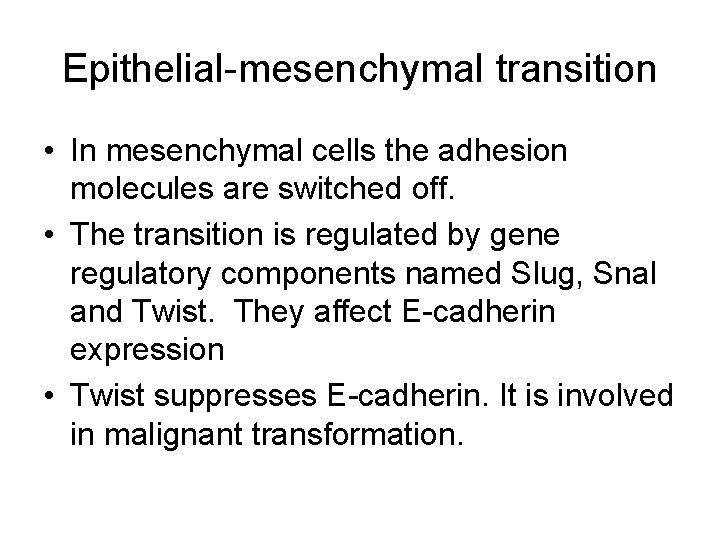 Epithelial-mesenchymal transition • In mesenchymal cells the adhesion molecules are switched off. • The