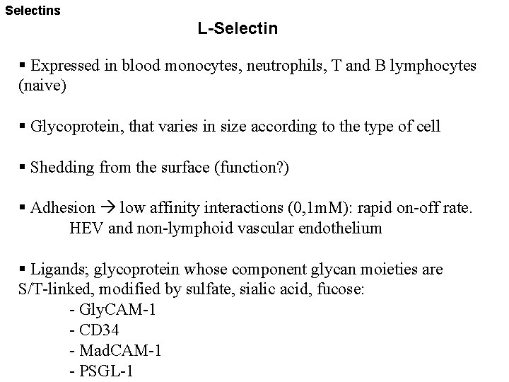 Selectins L-Selectin § Expressed in blood monocytes, neutrophils, T and B lymphocytes (naive) §