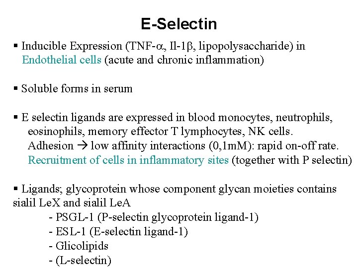 E-Selectin § Inducible Expression (TNF-a, Il-1 b, lipopolysaccharide) in Endothelial cells (acute and chronic