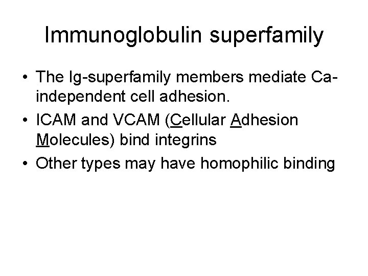 Immunoglobulin superfamily • The Ig-superfamily members mediate Caindependent cell adhesion. • ICAM and VCAM