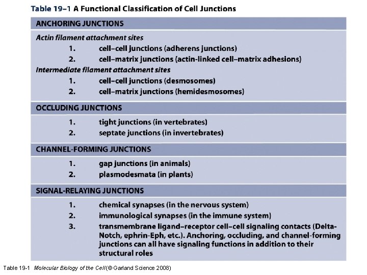 Table 19 -1 Molecular Biology of the Cell (© Garland Science 2008) 