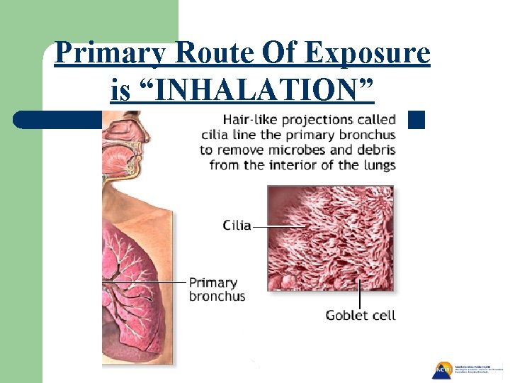 Primary Route Of Exposure is “INHALATION” 