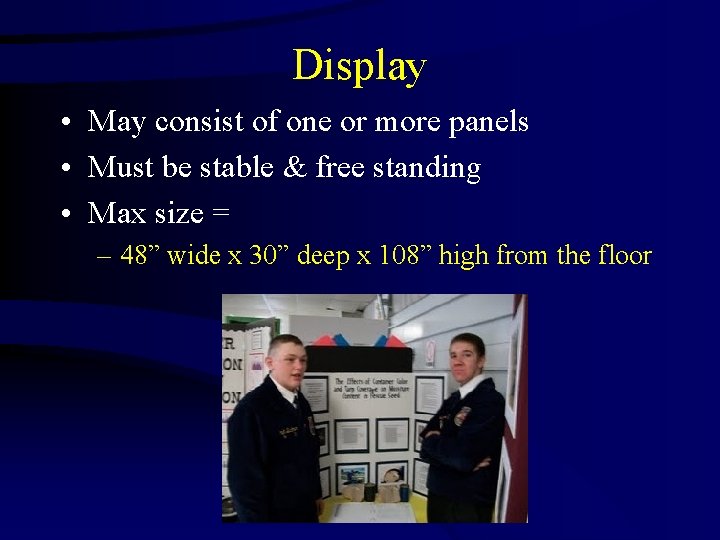 Display • May consist of one or more panels • Must be stable &