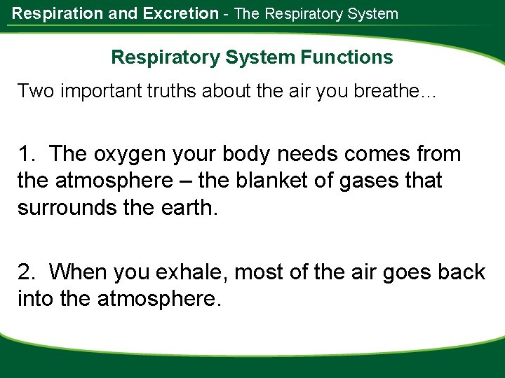 Respiration and Excretion - The Respiratory System Functions Two important truths about the air