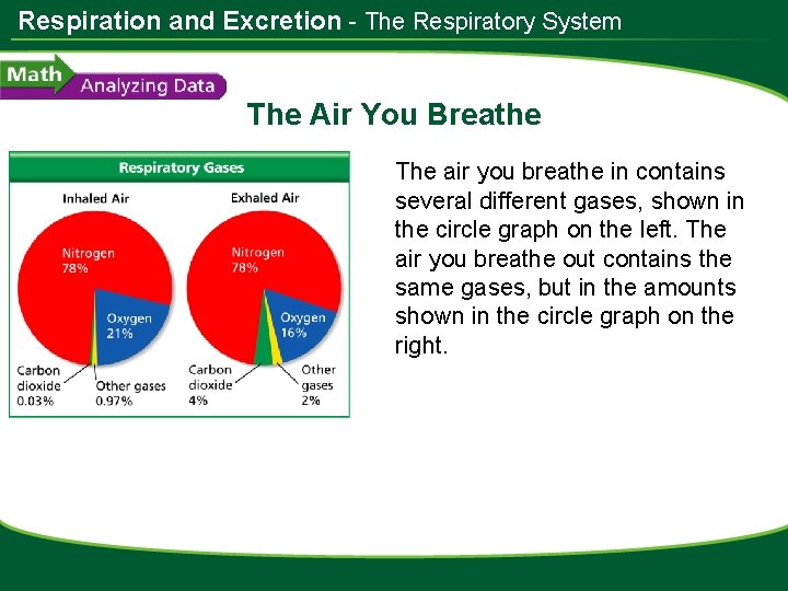 Respiration and Excretion - The Respiratory System The Air You Breathe The air you