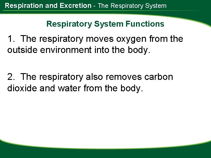 Respiration and Excretion - The Respiratory System Functions 1. The respiratory moves oxygen from