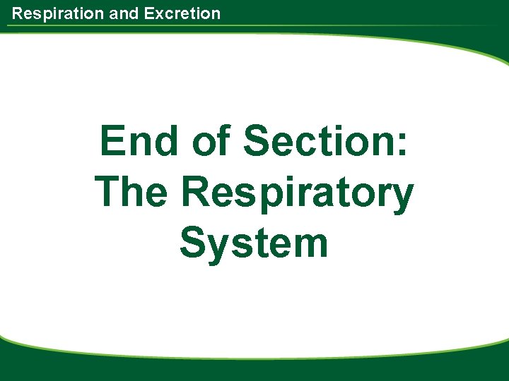 Respiration and Excretion End of Section: The Respiratory System 