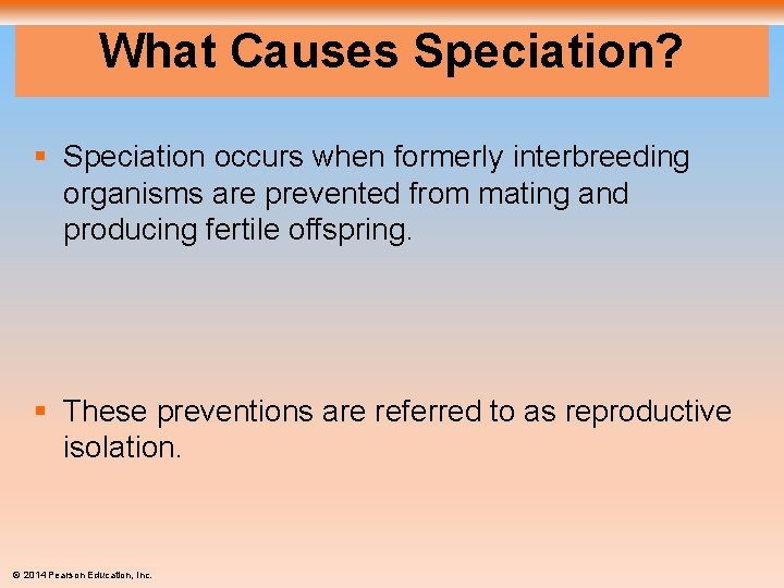 What Causes Speciation? § Speciation occurs when formerly interbreeding organisms are prevented from mating