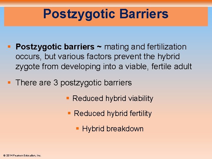 Postzygotic Barriers § Postzygotic barriers ~ mating and fertilization occurs, but various factors prevent