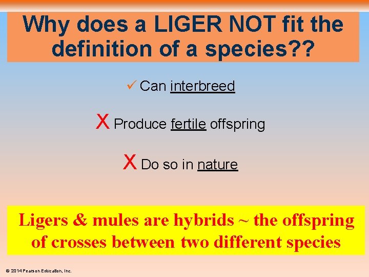 Why does a LIGER NOT fit the definition of a species? ? ü Can