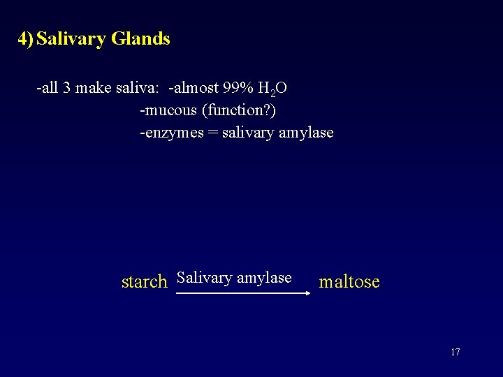 4) Salivary Glands -all 3 make saliva: -almost 99% H 2 O -mucous (function?