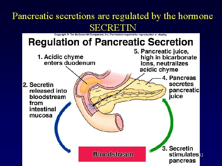 Pancreatic secretions are regulated by the hormone SECRETIN 42 