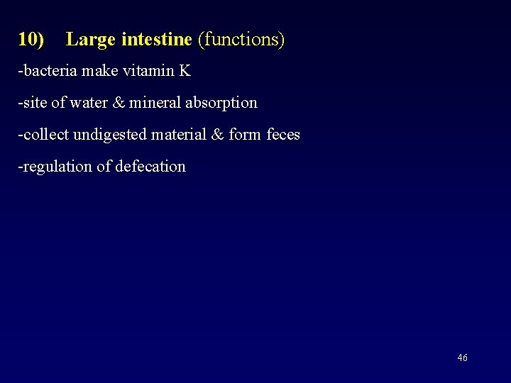 10) Large intestine (functions) -bacteria make vitamin K -site of water & mineral absorption