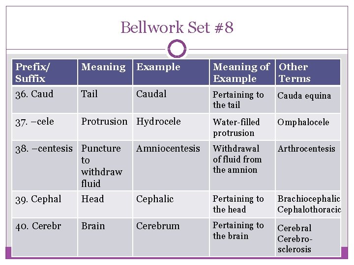 Bellwork Set #8 Prefix/ Suffix Meaning Example Meaning of Other Example Terms 36. Caud