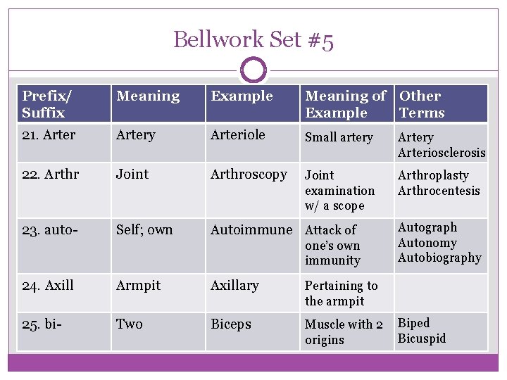 Bellwork Set #5 Prefix/ Suffix Meaning Example Meaning of Other Example Terms 21. Artery