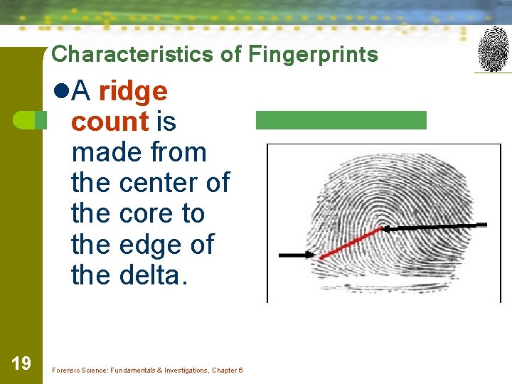 Characteristics of Fingerprints l. A ridge count is made from the center of the