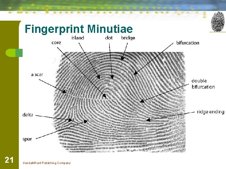 Fingerprint Minutiae 21 Kendall/Hunt Publishing Company 