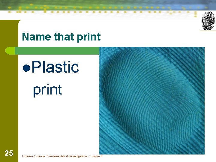 Name that print l. Plastic print 25 Forensic Science: Fundamentals & Investigations, Chapter 6