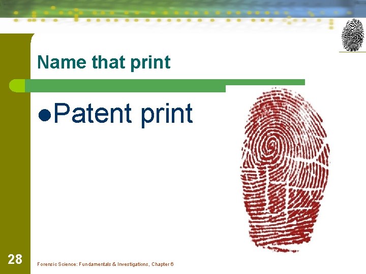 Name that print l. Patent 28 print Forensic Science: Fundamentals & Investigations, Chapter 6