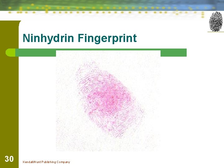 Ninhydrin Fingerprint 30 Kendall/Hunt Publishing Company 