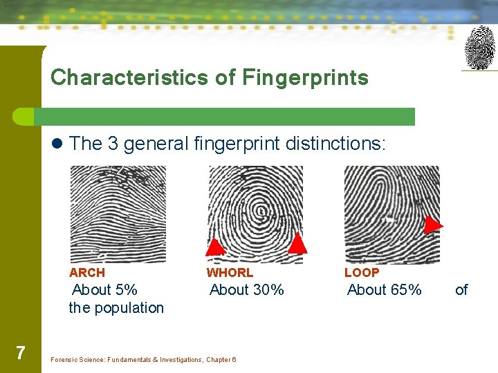 Characteristics of Fingerprints l The 3 general fingerprint distinctions: 7 ARCH WHORL LOOP About