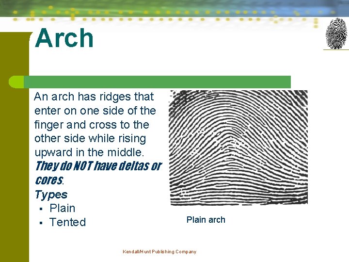 Arch An arch has ridges that enter on one side of the finger and