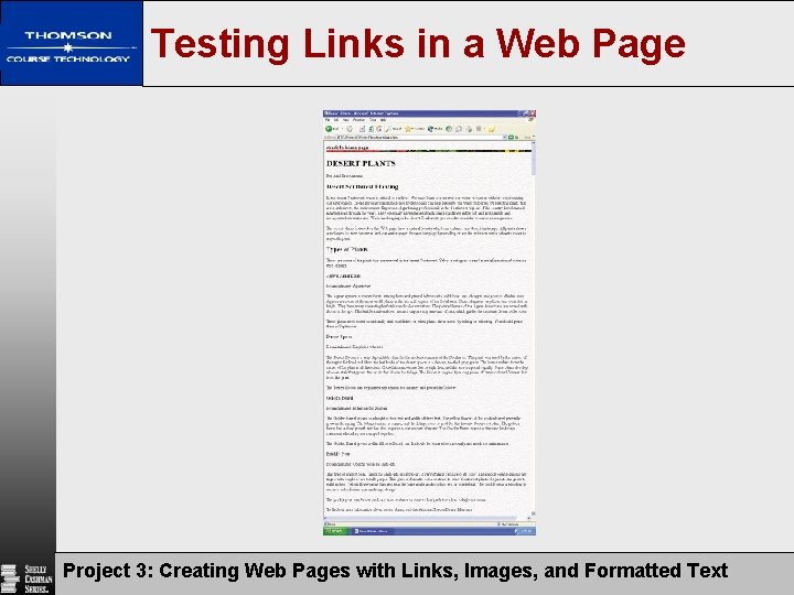 Testing Links in a Web Page Project 3: Creating Web Pages with Links, Images,