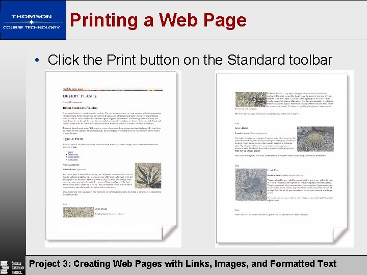 Printing a Web Page • Click the Print button on the Standard toolbar Project