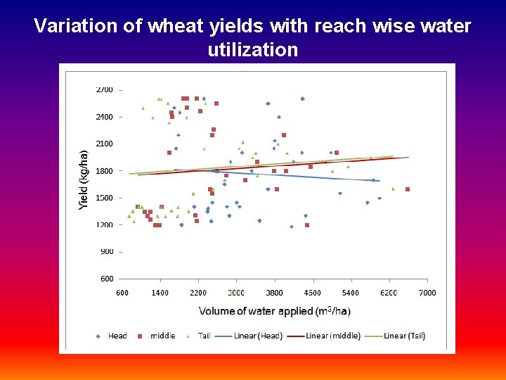 Variation of wheat yields with reach wise water utilization Variation of wheat yields with reach wise water utilization