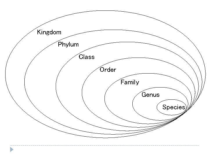 Kingdom Phylum Class Order Family Genus Species 