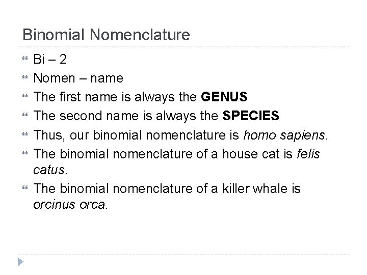 Binomial Nomenclature Bi – 2 Nomen – name The first name is always the