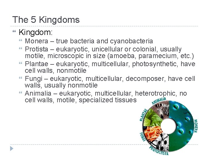 The 5 Kingdoms Kingdom: Monera – true bacteria and cyanobacteria Protista – eukaryotic, unicellular