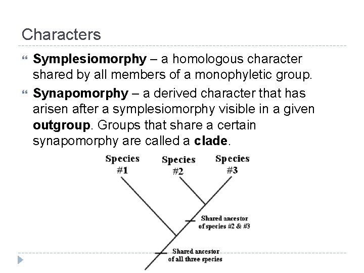 Characters Symplesiomorphy – a homologous character shared by all members of a monophyletic group. Characters Symplesiomorphy – a homologous character shared by all members of a monophyletic group.