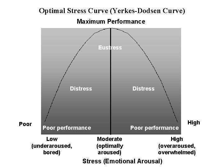 Optimal Stress Curve (Yerkes-Dodsen Curve) Maximum Performance Eustress Distress Poor performance Low (underaroused, bored)