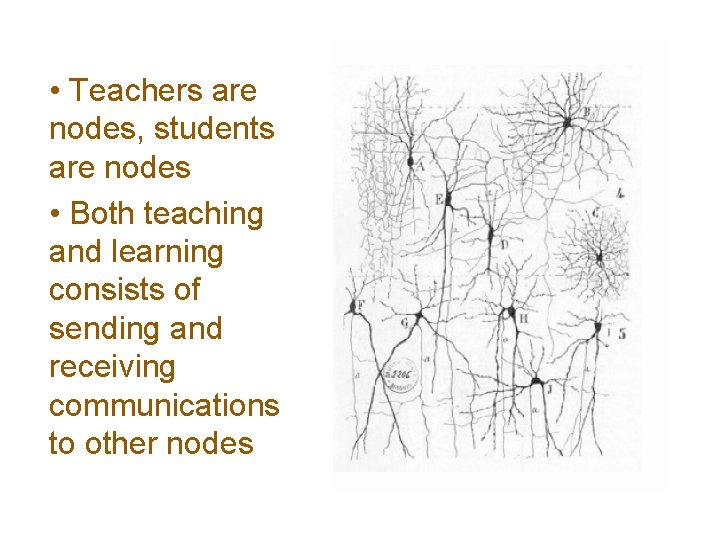  • Teachers are nodes, students are nodes • Both teaching and learning consists