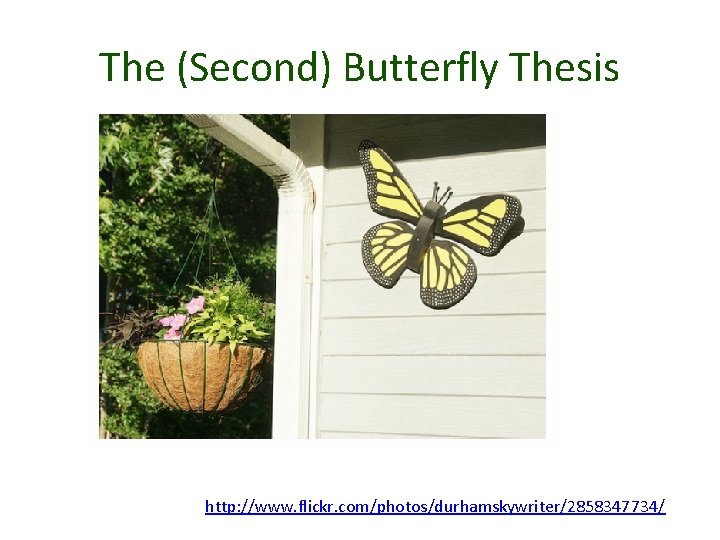 The (Second) Butterfly Thesis http: //www. flickr. com/photos/durhamskywriter/2858347734/ 